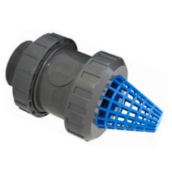 PVC zpětná klapka 50mm se sacím košem PN16