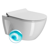PURA ECO závěsná WC mísa, Swirlflush, 55x36cm, bílá ExtraGlaze PURA ECO závěsná WC mísa, Swirlflush, 55x36cm, bílá ExtraGlaze